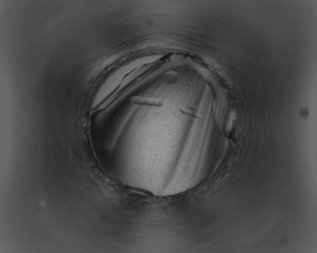 X0000091360822200708311503
