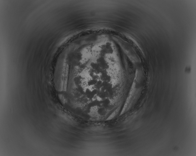 X0000091360823200708311503