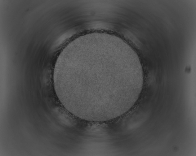 X0000091360824200708311503