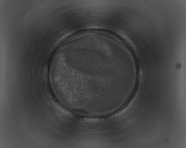 X0000091360825200708311503
