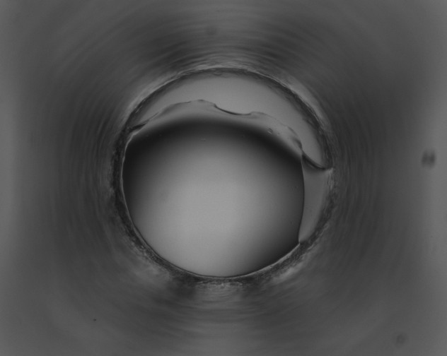 X0000091360826200708311503