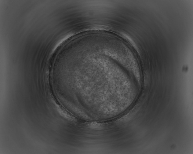 X0000091360827200708311503