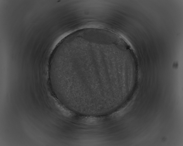 X0000091360829200708311503