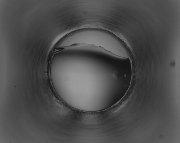 X0000091360830200708311503