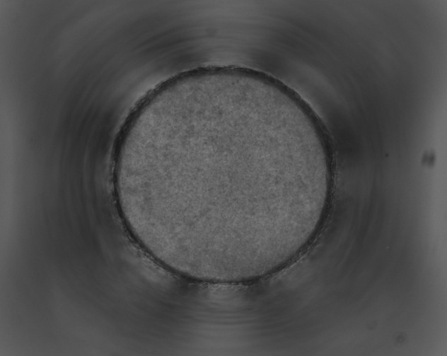 X0000091360832200708311503