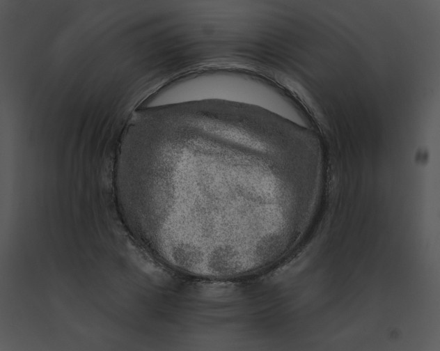 X0000091360833200708311503