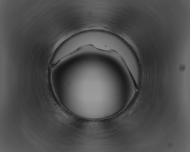 X0000091360834200708311503
