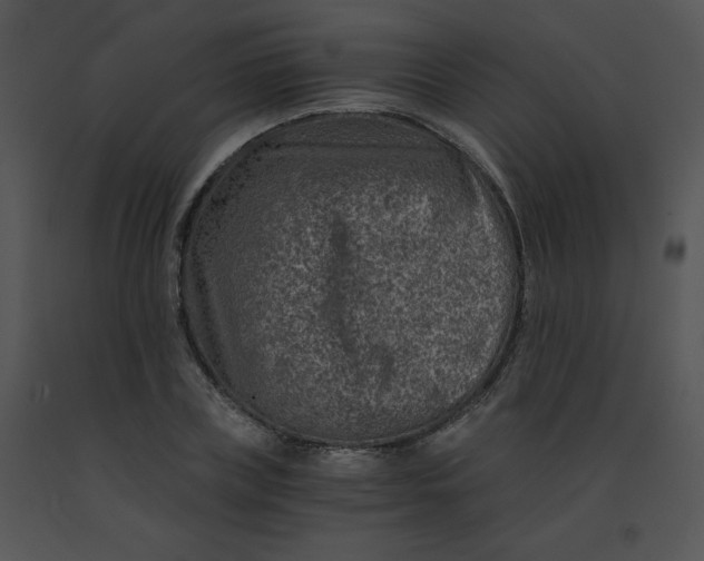 X0000091360835200708311503