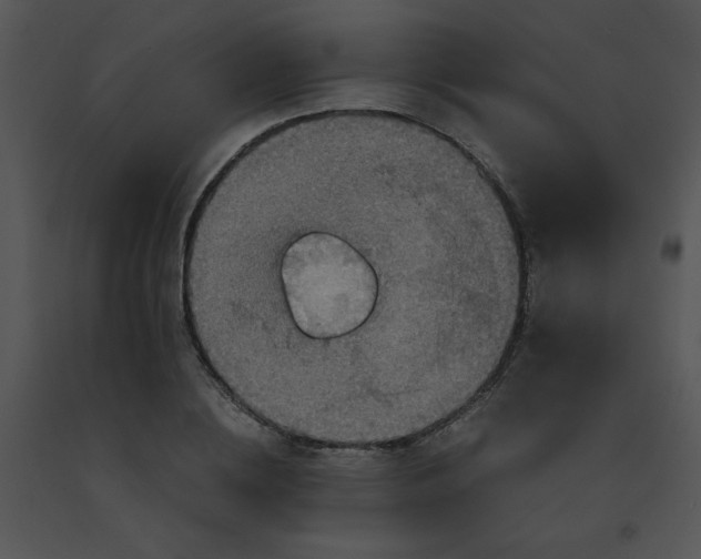 X0000091360836200708311503