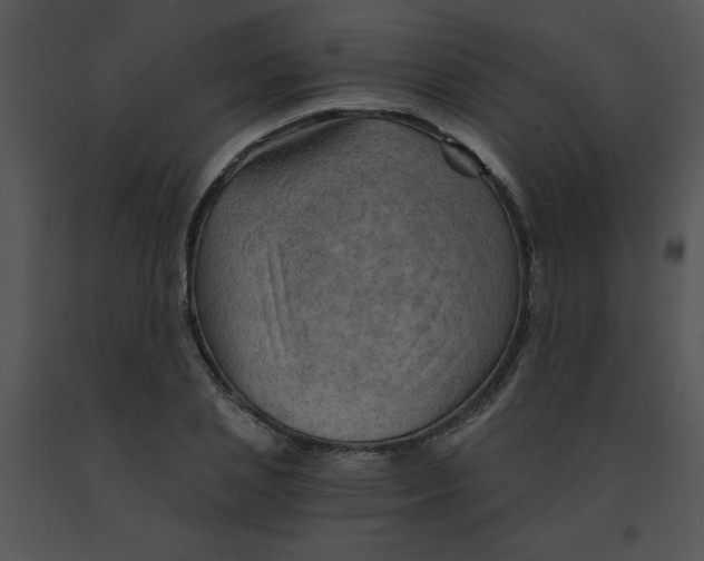 X0000091360837200708311503