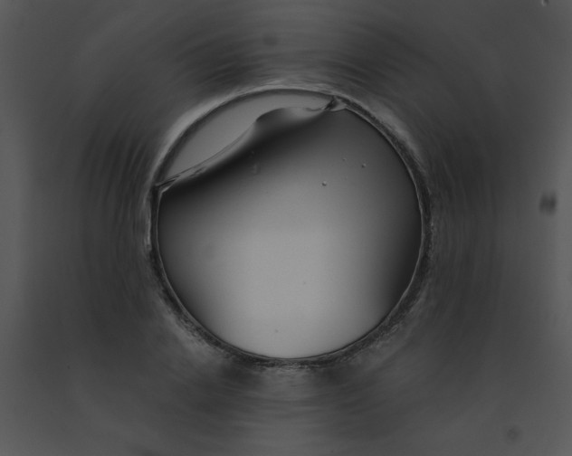 X0000091360838200708311503