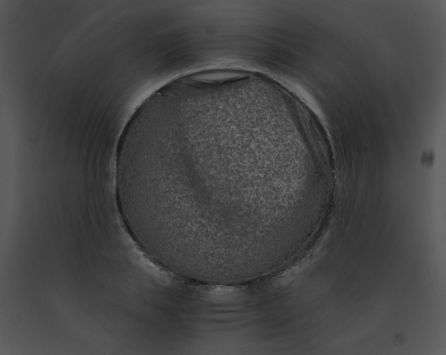 X0000091360839200708311503
