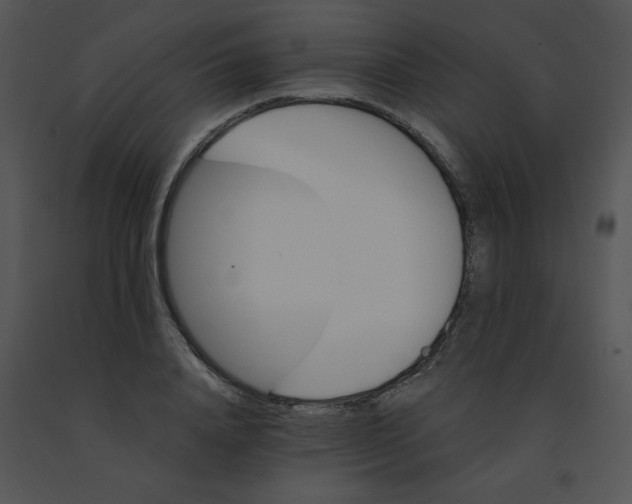 X0000091360840200708311503