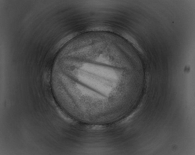 X0000091360841200708311503