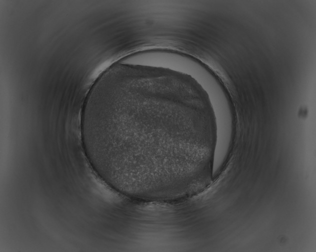 X0000091360842200708311503