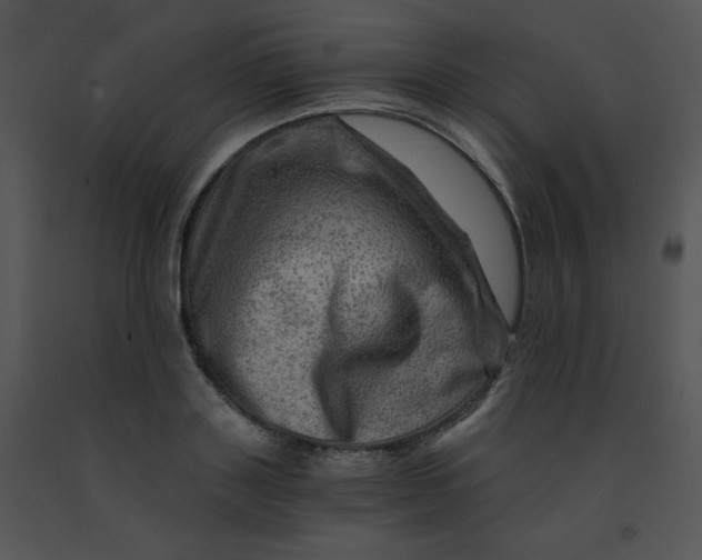 X0000091360843200708311503