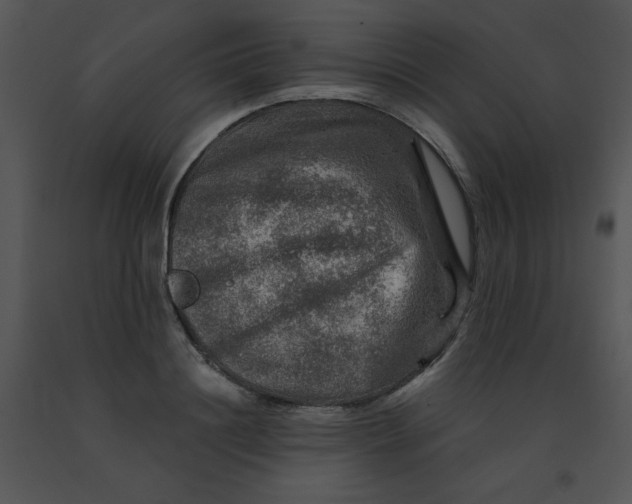 X0000091360844200708311503