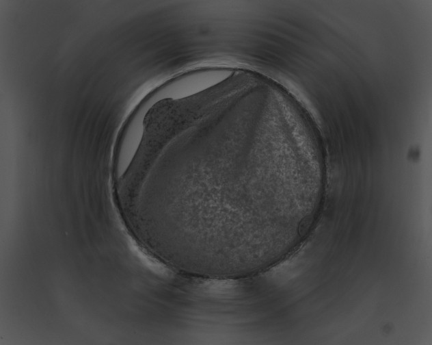X0000091360845200708311503