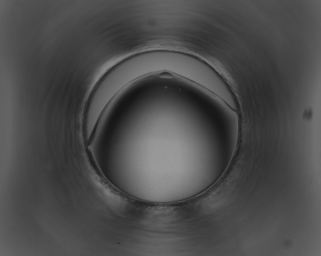 X0000091360846200708311503
