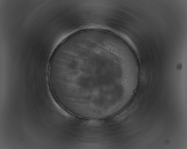 X0000091360847200708311503