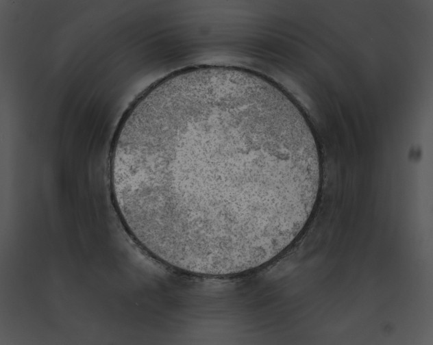 X0000091360848200708311503