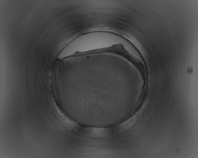 X0000091360849200708311503