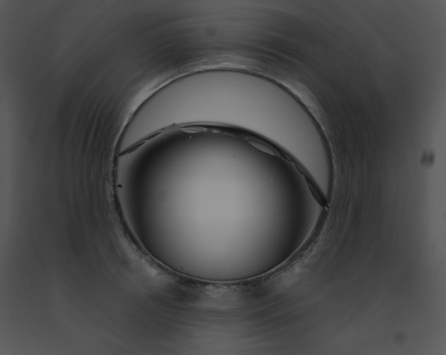 X0000091360850200708311503