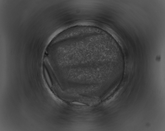 X0000091360853200708311503