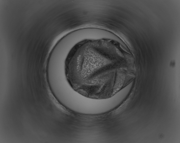 X0000091360854200708311503