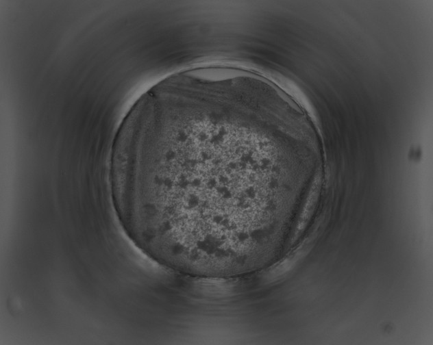 X0000091360855200708311503