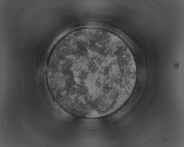 X0000091360856200708311503
