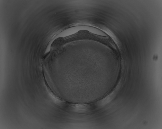 X0000091360857200708311503