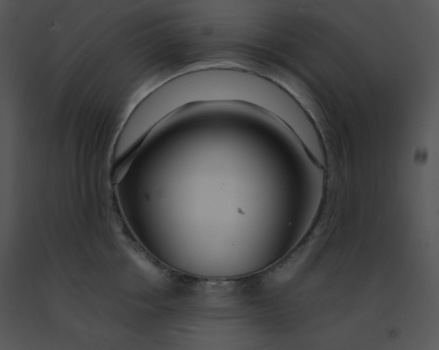 X0000091360858200708311503