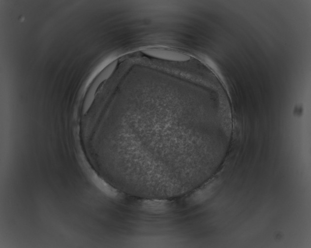 X0000091360859200708311503