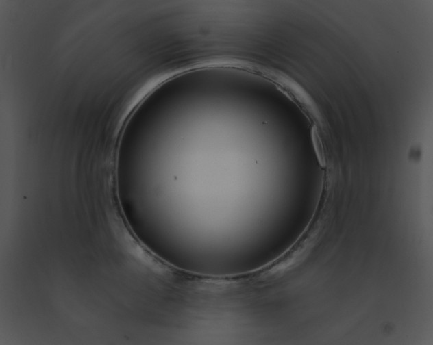 X0000091360860200708311503
