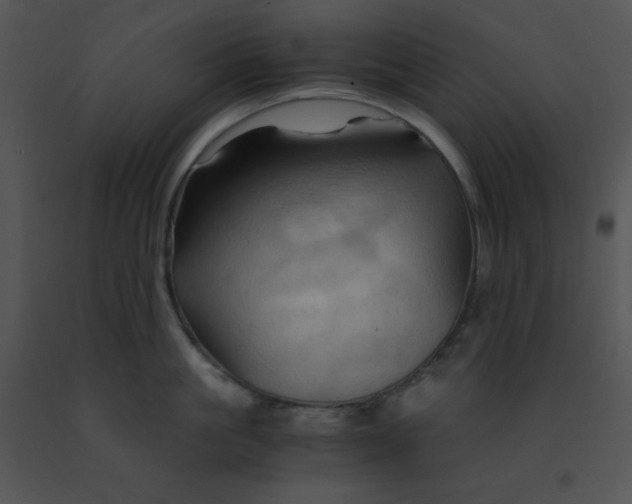 X0000091360861200708311503