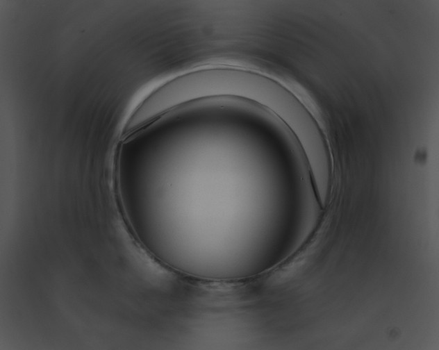 X0000091360862200708311503
