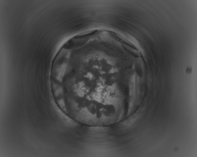 X0000091360863200708311503