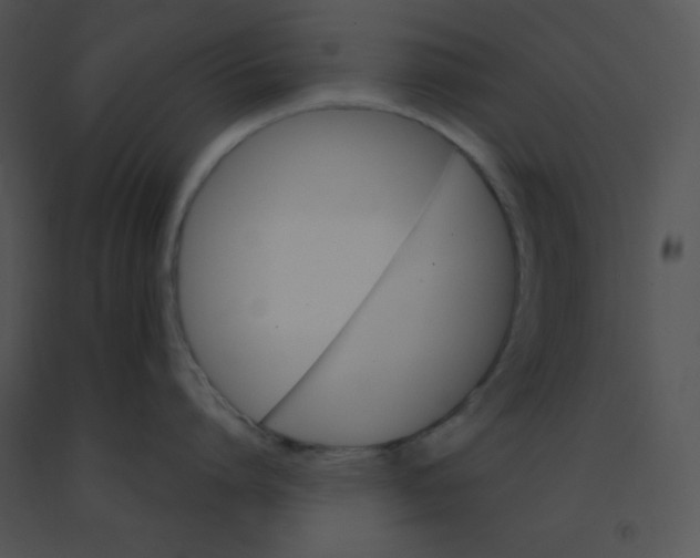 X0000091360864200708311503