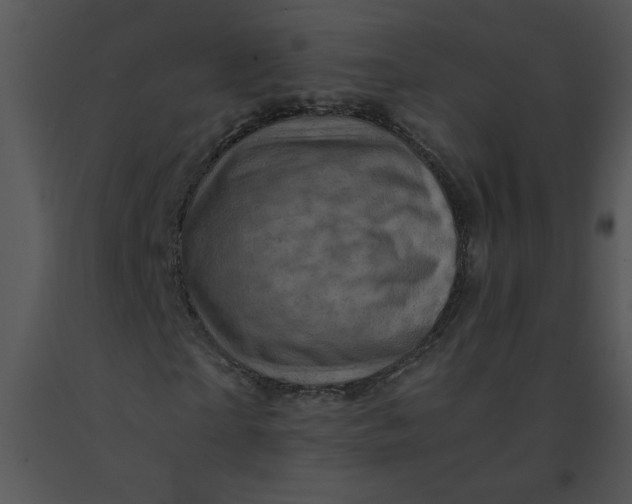 X0000091360865200708311503