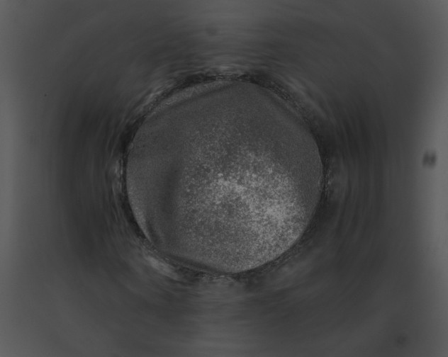 X0000091360866200708311503