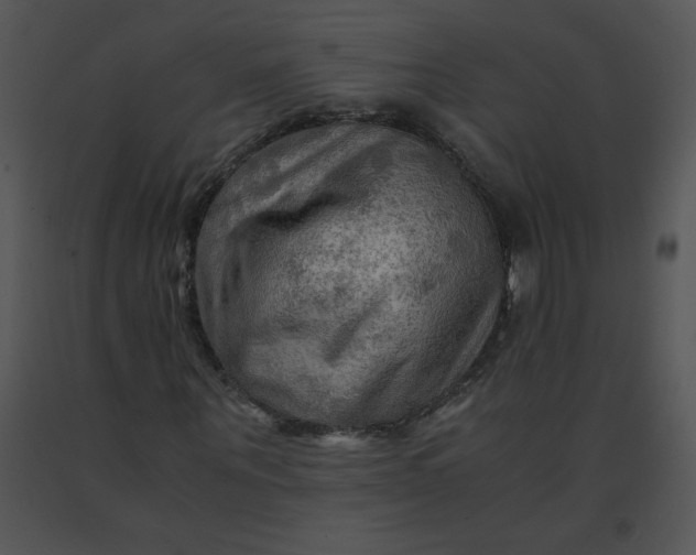 X0000091360867200708311503