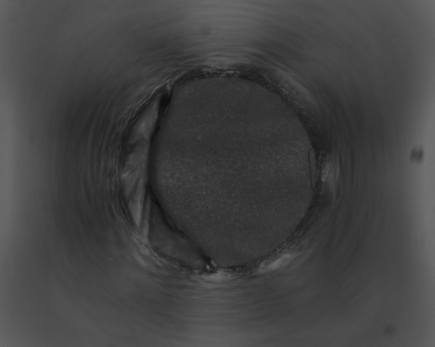 X0000091360868200708311503