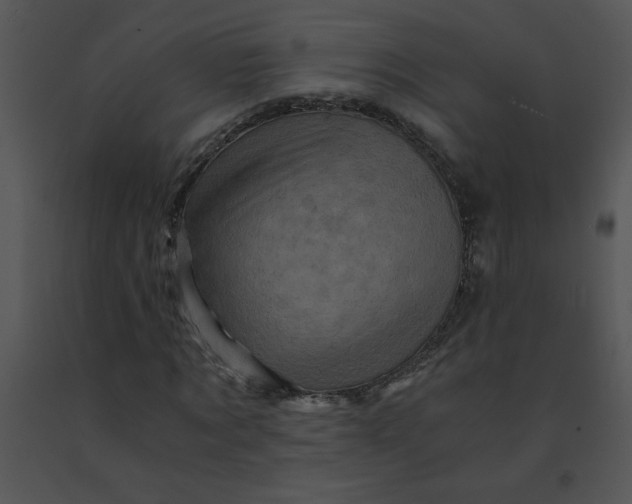 X0000091360869200708311503