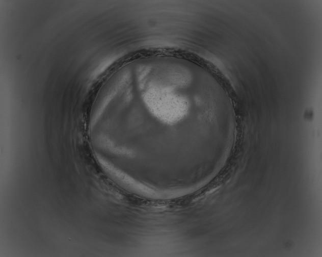 X0000091360871200708311503