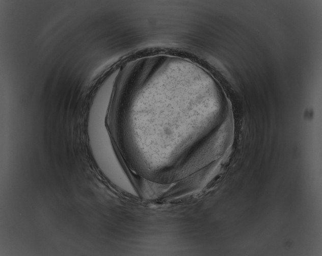 X0000091360872200708311503