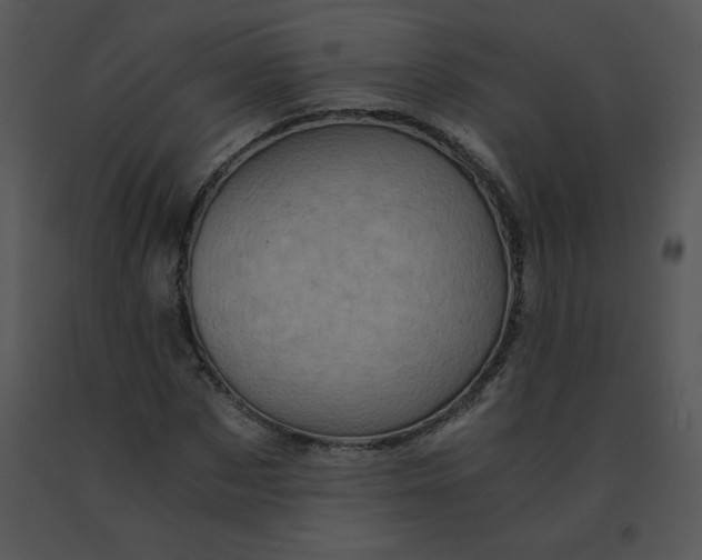 X0000091360873200708311503