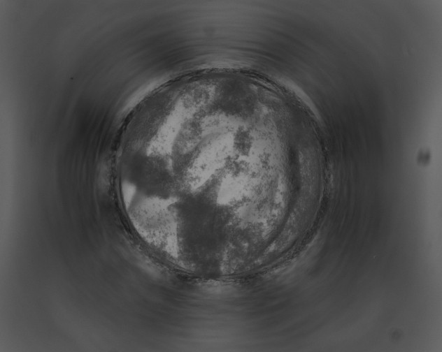 X0000091360874200708311503