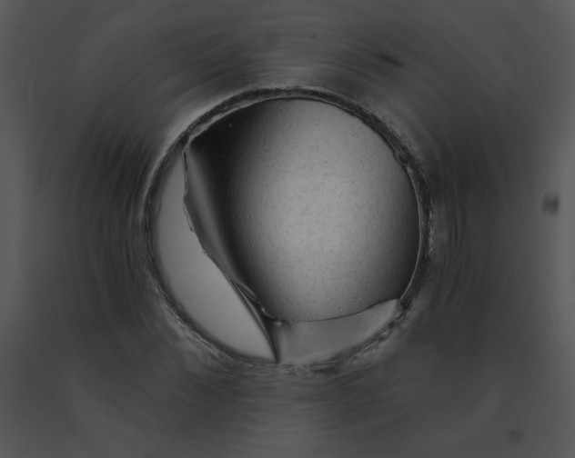 X0000091360876200708311503