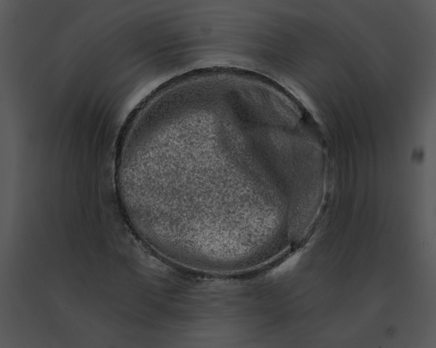 X0000091360877200708311503